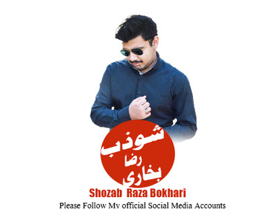 Logo banner ad branding business logo design fiverr graphic graphic art graphic design designer illustration logo logo design