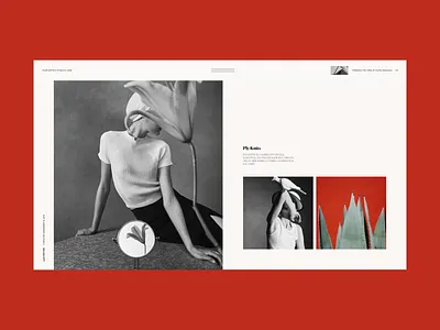 Article View article page concept design editorial layout magazine online magazine typogaphy ui ui design ux ux design web web design website