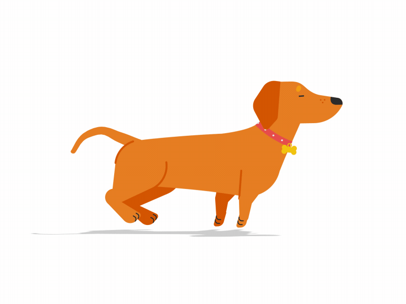 Bork Bork Bork 2d after effects aftereffects character cycle daschund design dog duik gif illustration illustrator loop puppy rig sausage sausage dog vector walk