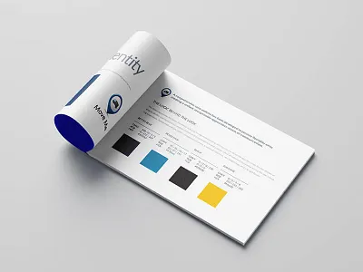 Brand Identity and Style Guidebook brand guidelines brand identity brand identity design branding graphic design marketing ux design