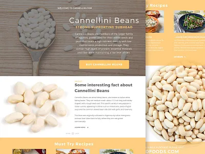Cannellini.com beans food ui ux webdesign website