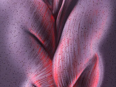 Cloth Study 03 3d c4d cloth material octane render