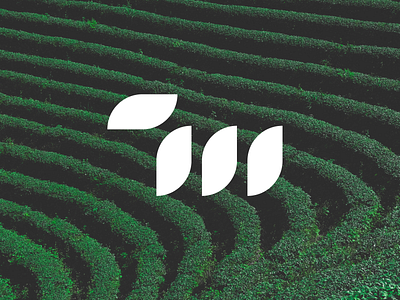 7 Matcha: symbol 7 7m beverage branding clean letspanda lettermark logo m mark matcha minimal minimalist modern serif symbol tea type typography