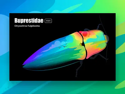 Buprestidae2 beetle colorful illustration insects sea sky ui