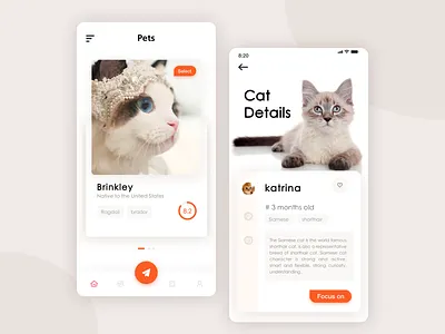 pet app animation app banner design ui