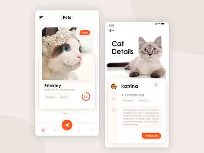 pet app animation app banner design ui