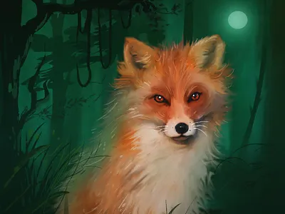 that look :) adobe android artist bird characterdesign design ui vector