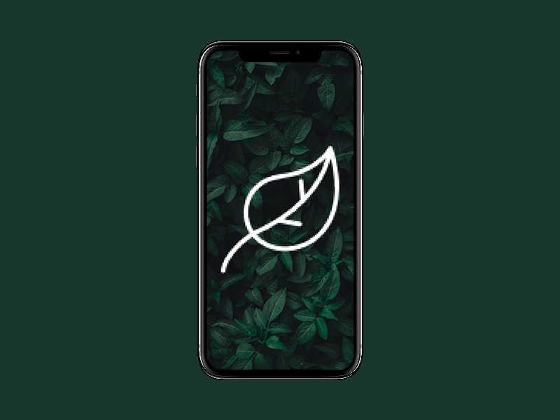 Plant Scanner Splash Screen animation logo logotype plant splashscreen ui ui design