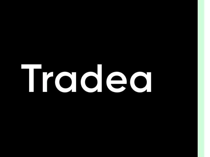 Alpha Intro clean design fintech intro minimal ui web
