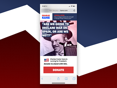 CHARLIE KANE FOR PRESIDENT design election iphone politics president retro ui ux webdesign