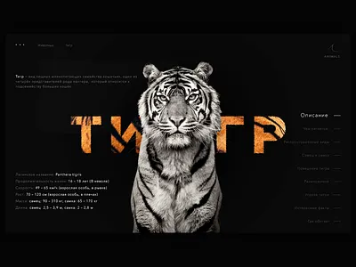 Tiger 2 animal animals webdesign