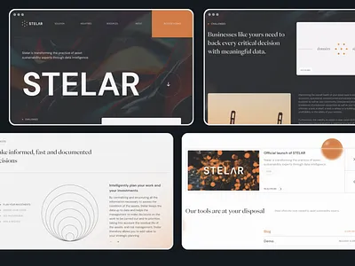 Stellar company company site design enterprise industries industry industry site industry web industry website redesign remake site study ui uidesign uiuxdesign ux uxdesign website