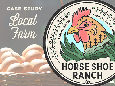 Horse Shoe Ranch Case Study badge brand case study chicken eggs farm illustration label local logo organic packaging pasture