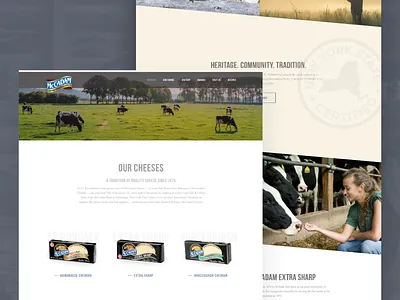 McCadam Website art direction cheese web design web pages
