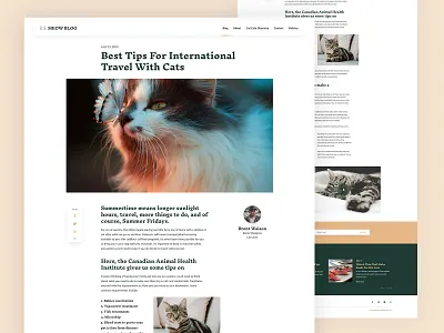 DailyUI - 035 - Blog Post blog post daily ui