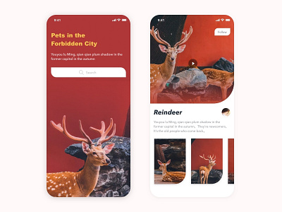 Reindeer icon sketch ui