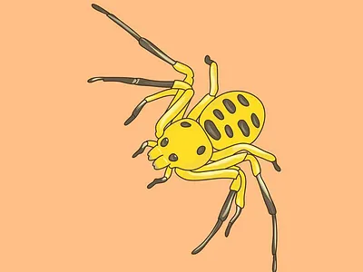 Spider art clean colour design illustration minimal procreate procreateapp spider