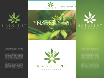 Logo Inspiration branding design icon illustration logo typography vector