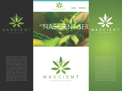 Logo Inspiration branding design icon illustration logo typography vector