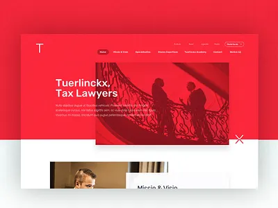 Tuerlinckx Branding + Webdesign branddesign branding corporate digital design firm lawyer uidesign uxdesign webdesign