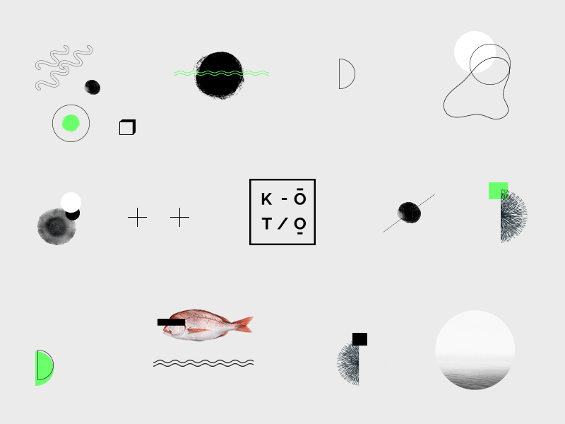 KOTO art portfolio brand branding creative creative agency creative design creative portfolio design designer portfolio freelance portfolio graphic design logo typography ui uidesign ux vector web web design website