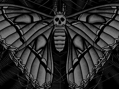 Moth Study illustration moth skull stippling
