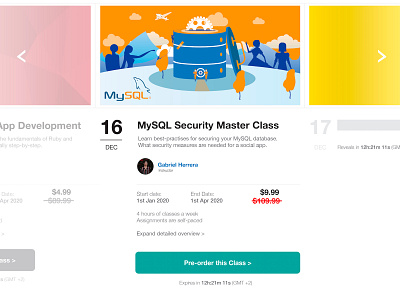 075 Pre Order | 100 Days of UI Design christmas dailyui early bird education offer pre order specials uidesign web design