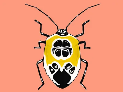 Cockroach art clean cockroach colour design illustration insect minimal procreate procreateapp vector
