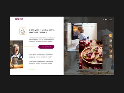 Arctic Life Features LP design user interface design ux