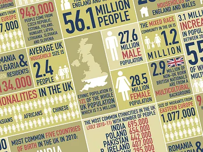Information Graphics design illustration typography vector