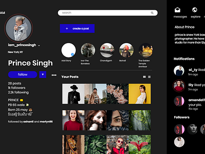 instagram desktop app concept clean concept design flat minimal recent trending trendy ui user experience design user interface design ux