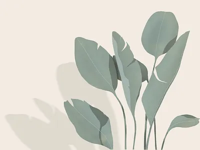 Banana clean cute drawing green illustration leaf leaves minimal illustration nature nature illustration plant procreate shadows simple