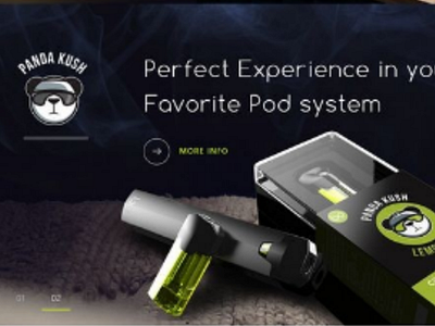 🐼 PANDAKUSH WEBSITE DESIGN design designs graphic graphicdesign illustrations ui uidesigns ux uxdesign web webdesign website websitedesign