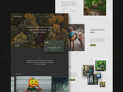 Mother Shipton's Website Homepage attraction corporate drone home homepage design medieval minimal old oldschool opening times rough sub navigation texture tourism tourist travel ui ux vista