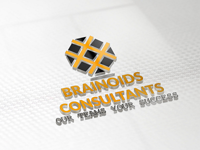 Logo 75 For a Finance Firm animation art blue brand branding brochure design character clean design flat icon identity illustration illustrator lettering logo minimal type typography vector