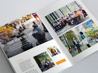 University of Santa Cruz Admissions Packet design graphic design print design