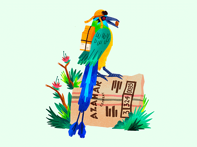Barranquero bird branding café coffee colombia digital illustration illustration ilustración ilustración digital procreate
