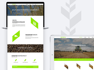 GRYKOS Website brand brand design branding graphic design logo rwd ui ui design ux website