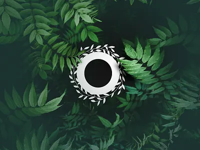 Logo design branding design illustration logo typography ui vector