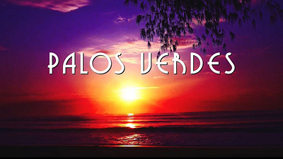 Palos Verdes (Lyric Video) animation design graphic design