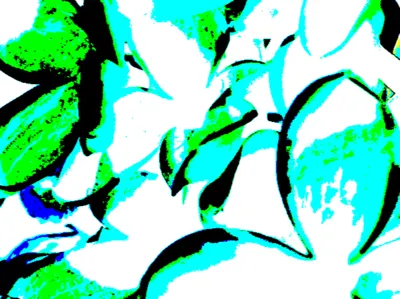 Caribbean Blue design flowers graphic design pattern photography photoshop vector