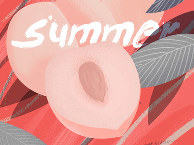 summer 插图 设计