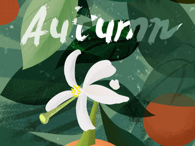 autumn 插图 设计