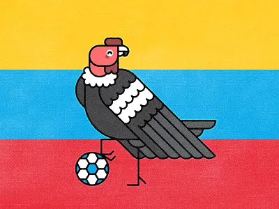 Colombia 2019 animal bird colombia condor copa america design flat football illustration minimal monoline soccer vector vulture