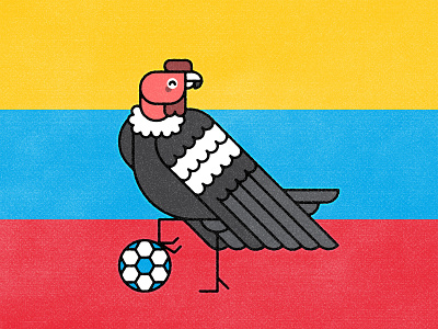 Colombia 2019 animal bird colombia condor copa america design flat football illustration minimal monoline soccer vector vulture