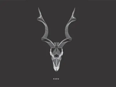 Wireframe Buck Behance 06 design illustration