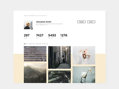 User profile 006 daily 100 daily ui design minimal photographer stats ui user profile ux web web design