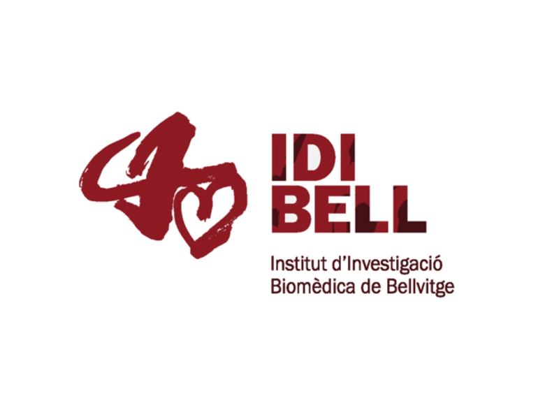 IDIBELL Construction of logo art branding logo restyling