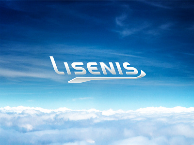 LISENIS aircraft airline brand branding charter design emblem goubine graphic icon identity illustration lisenis logo logotype mark plane sky symbol typography