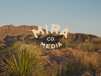 Mira Media Co. Branding brand design branding design hand drawn illustration logo mira media co.